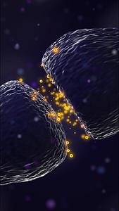 粒子动态特写分子背景视频的预览图