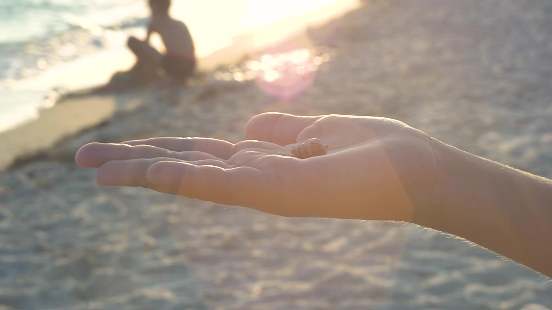 手掌中的海壳视频的预览图