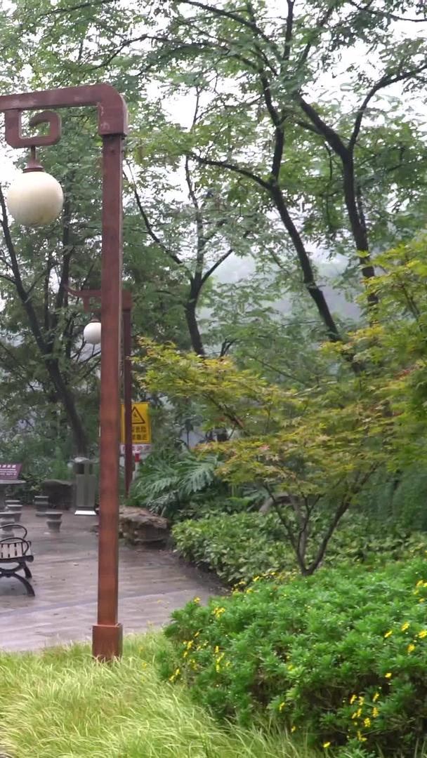 雨天美女游湖游公园视频的预览图
