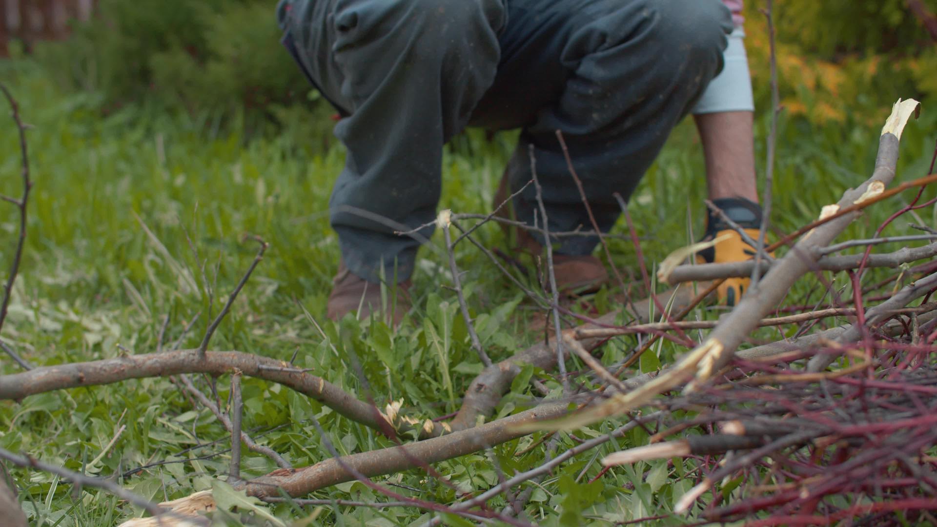 人们用斧头砍树枝作为营火视频的预览图