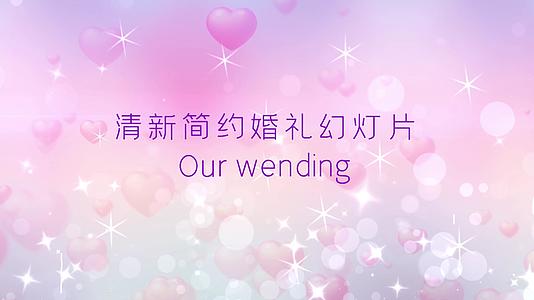 清新简约婚礼幻灯片Pr模板视频的预览图