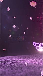 唯美梦幻紫色粒子光线相册背景视频的预览图