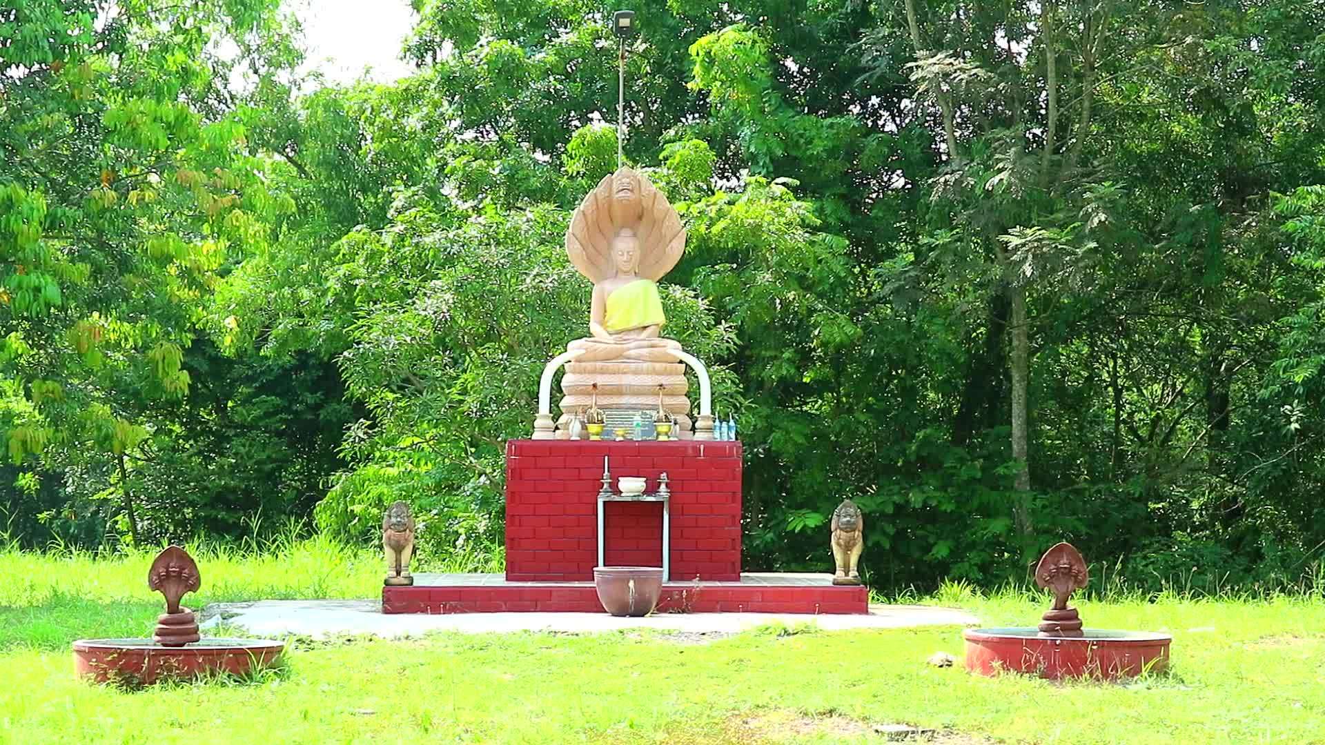 寺庙花园的沙石冥想风格buddha地位视频的预览图