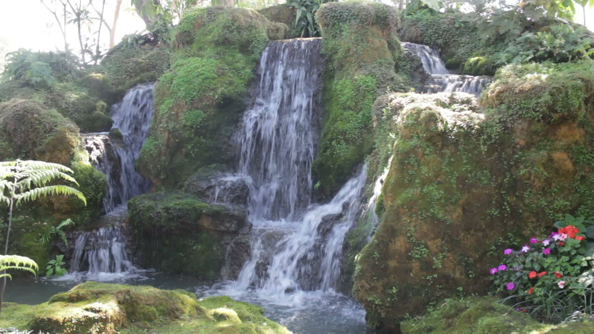 美丽的瀑布在绿色的花园里视频的预览图