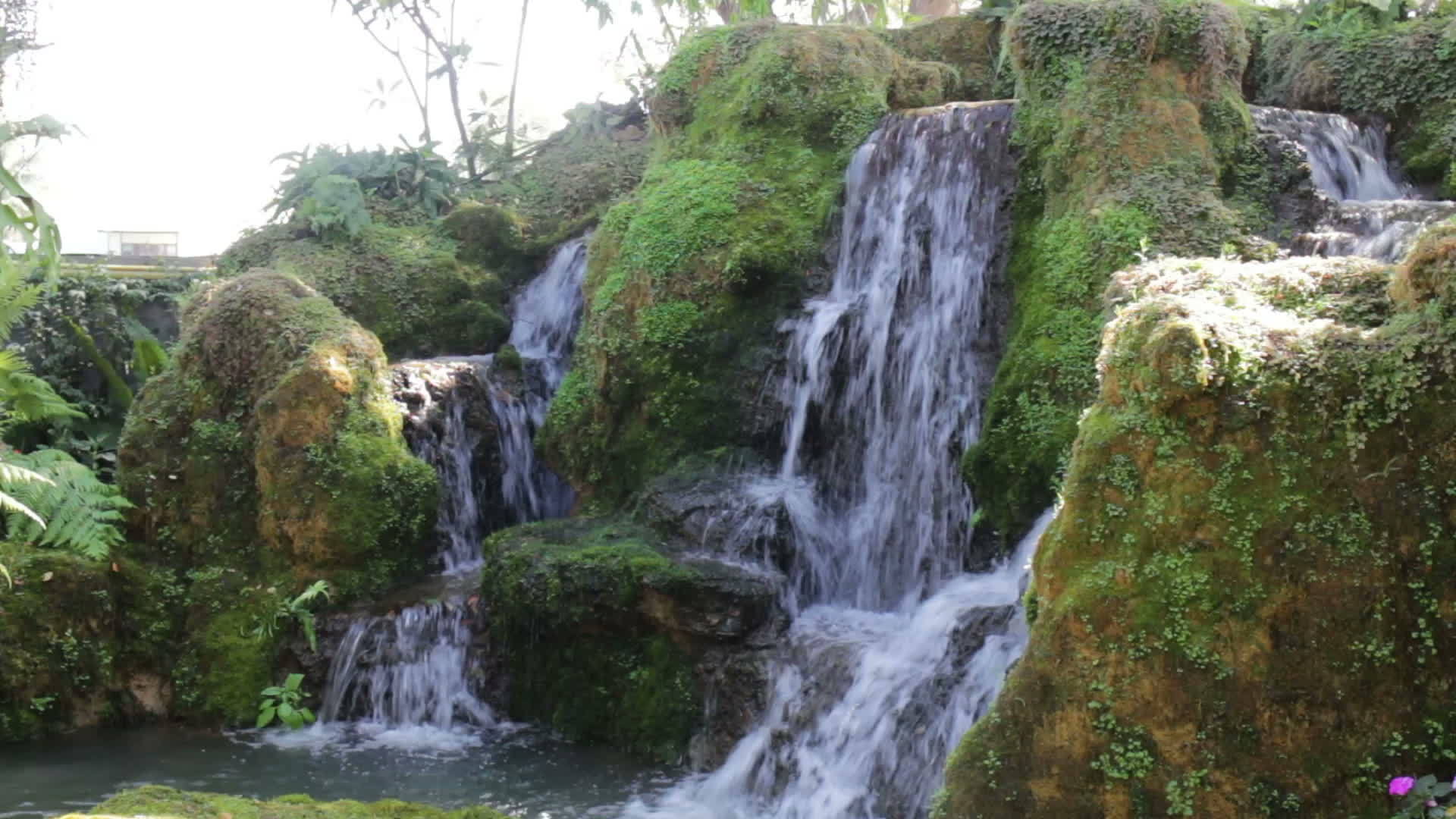 家庭花园中创造的美丽瀑布视频的预览图