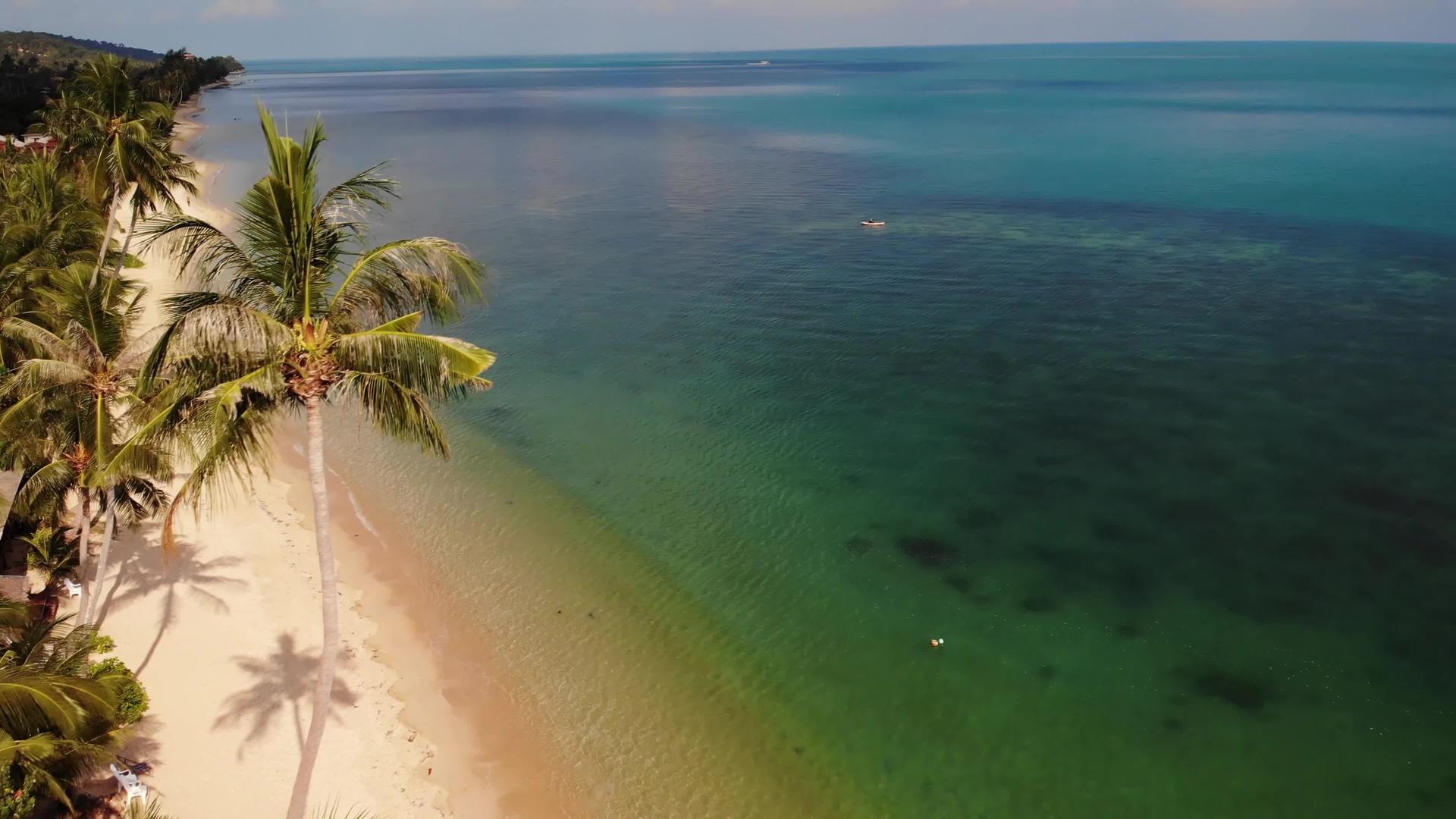 无人驾驶飞机观看蓝海附近海滩上种植的热带椰子棕榈视频的预览图