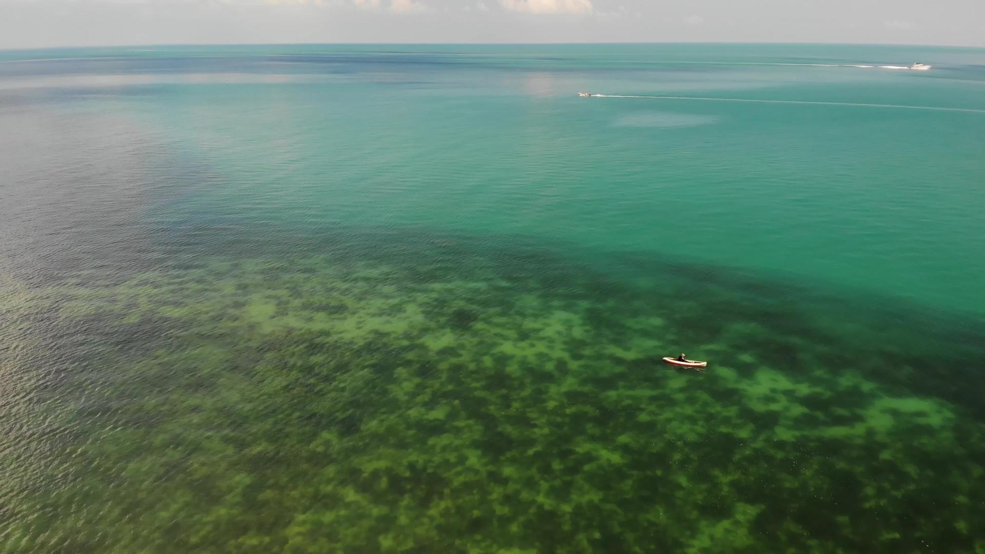 无人驾驶飞机观看蓝海附近海滩上种植的热带椰子棕榈视频的预览图