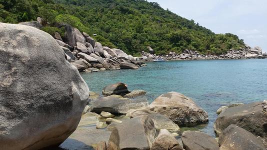 在泰国阳光明媚的日子里热带棕榈树和小海滩上的石头视频的预览图