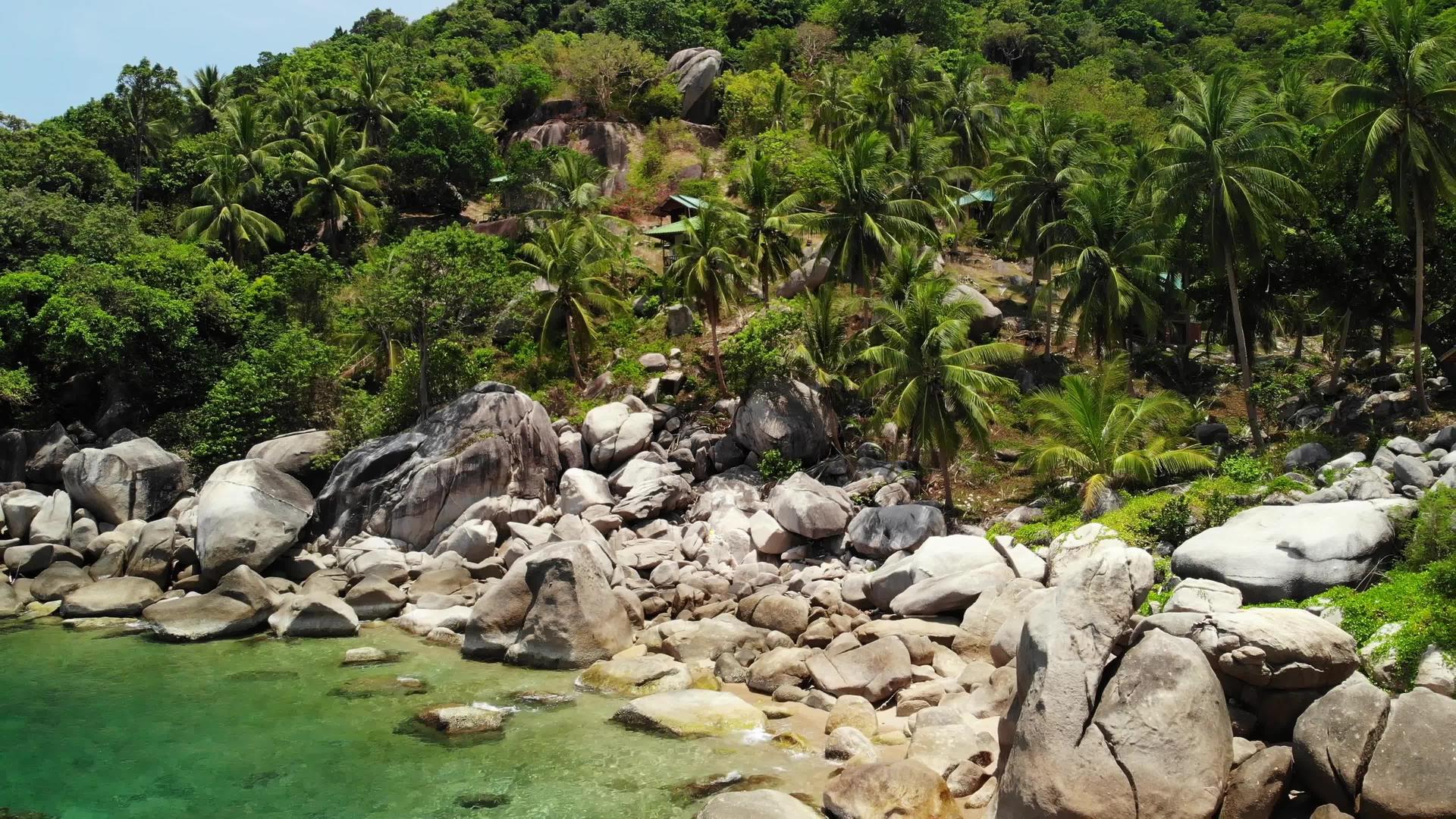 在泰国阳光明媚的日子里热带棕榈树和小海滩上的石头视频的预览图