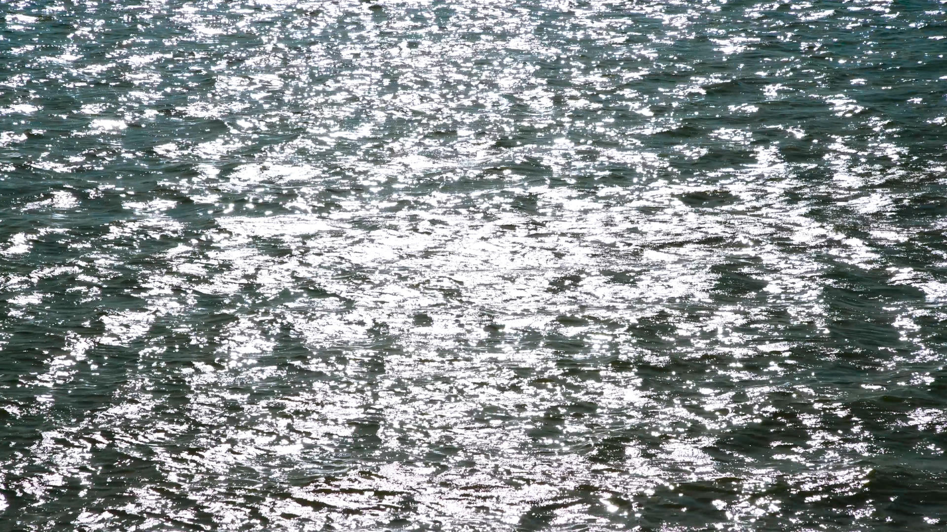 波光粼粼的水面4K视频的预览图
