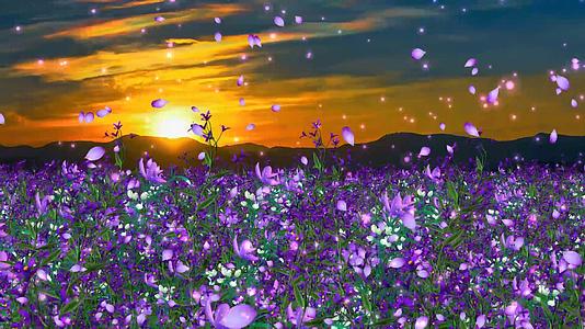 动态大气紫色花海动态粒子花瓣上升视频素材视频的预览图