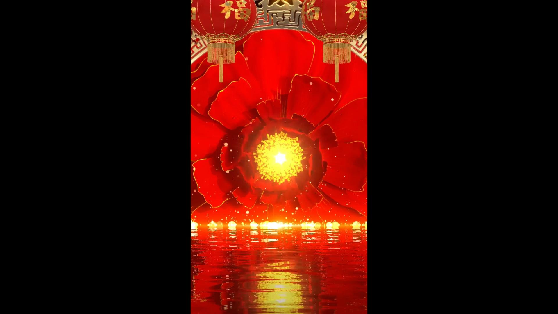 红色花朵大只粒子婚礼喜庆背景视频的预览图