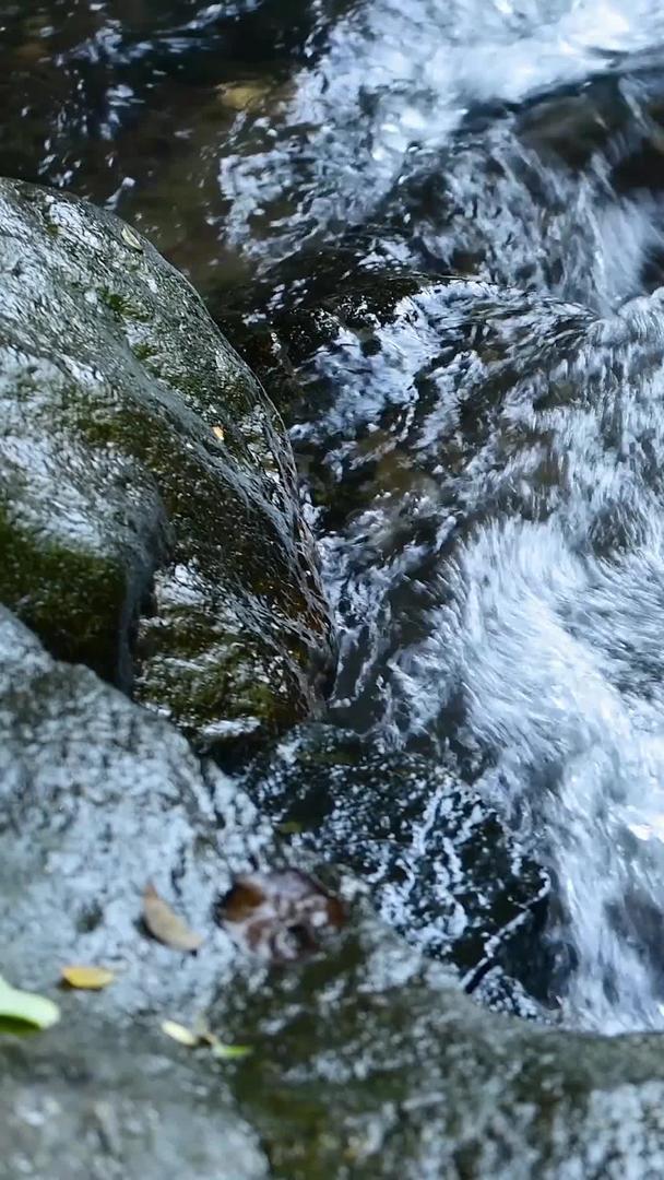 夏天清澈的山涧小溪视频的预览图