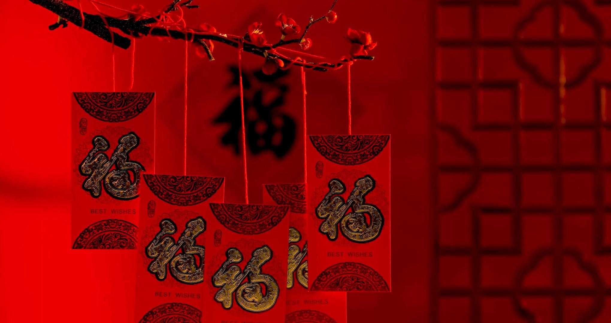 福字红色背景前蜡梅上悬挂红包从暗到明背景实拍视频视频的预览图