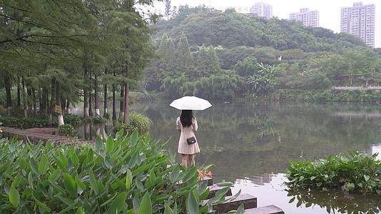 细雨蒙蒙雨中撑伞游公园的女孩视频的预览图