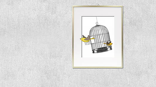 手绘动画鸟飞出超真实的自由概念绘画视频的预览图