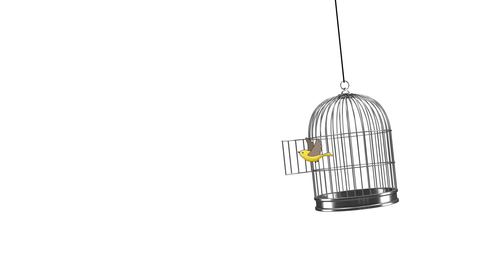 手绘动画鸟从笼子里飞出来视频的预览图