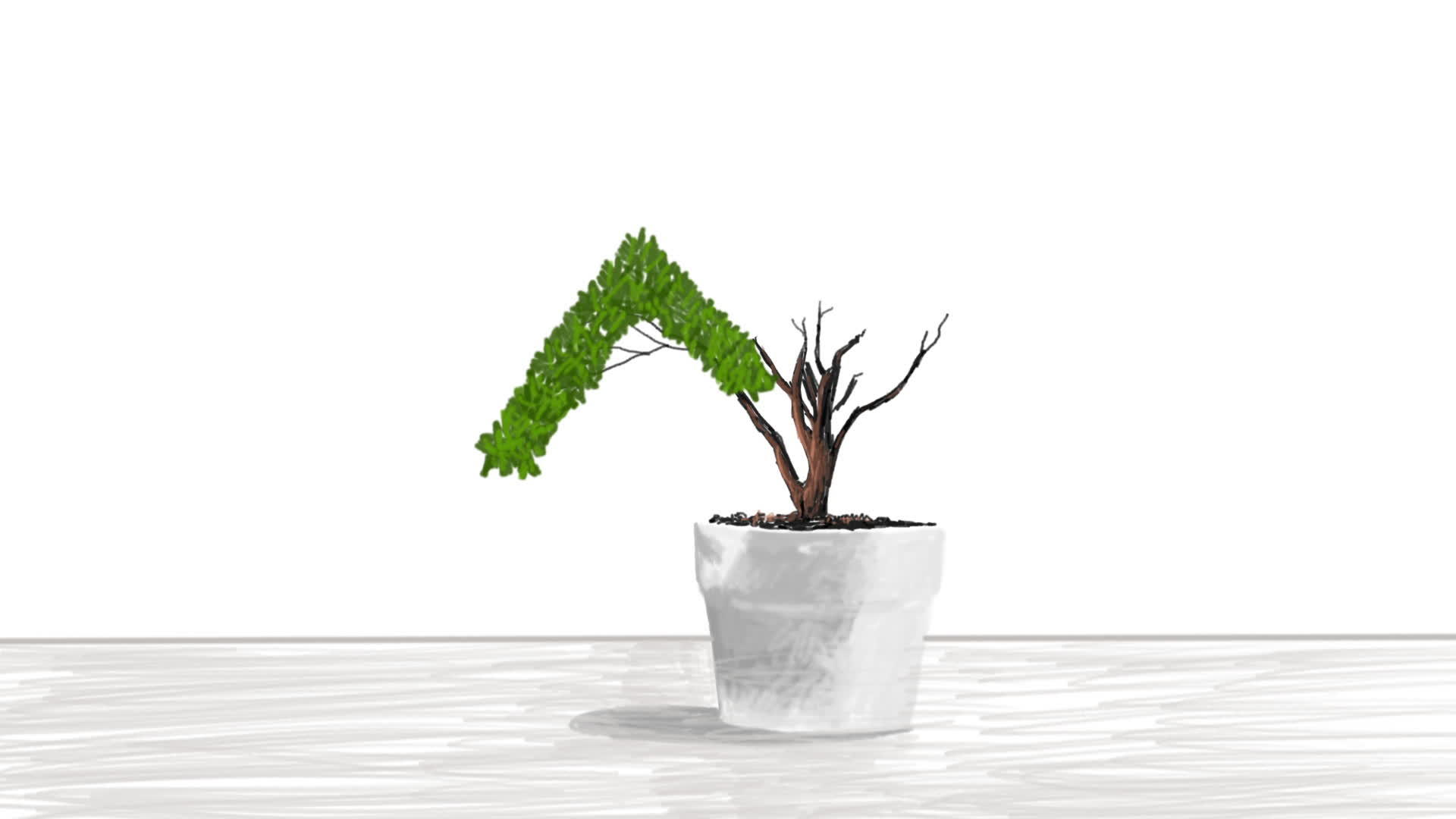 动画锅里的小植物形状像生长图像视频的预览图