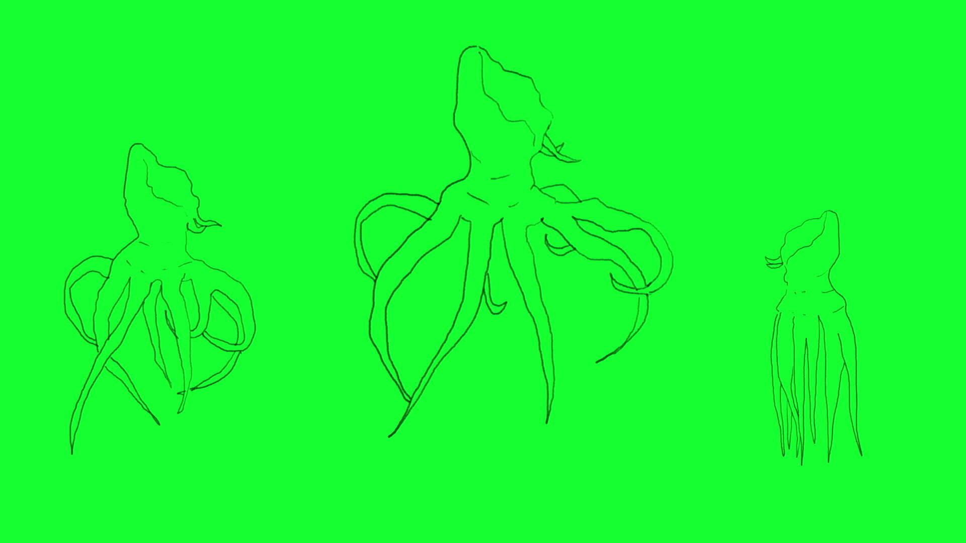 在绿屏上手工绘制怪物章鱼动画视频的预览图