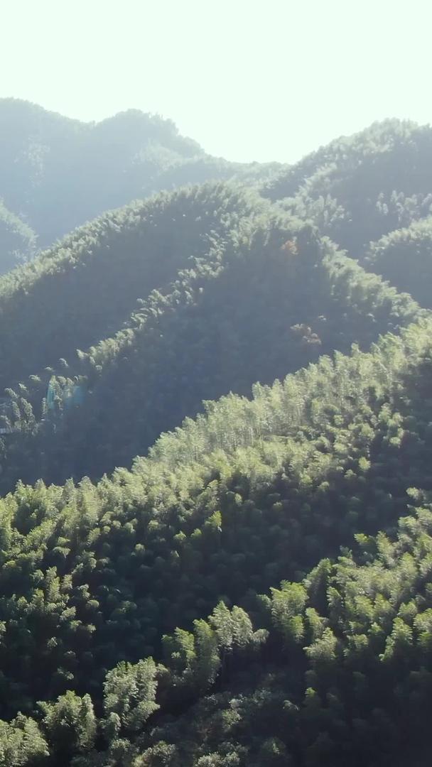 安徽旅游景区林坑竹海视频视频的预览图