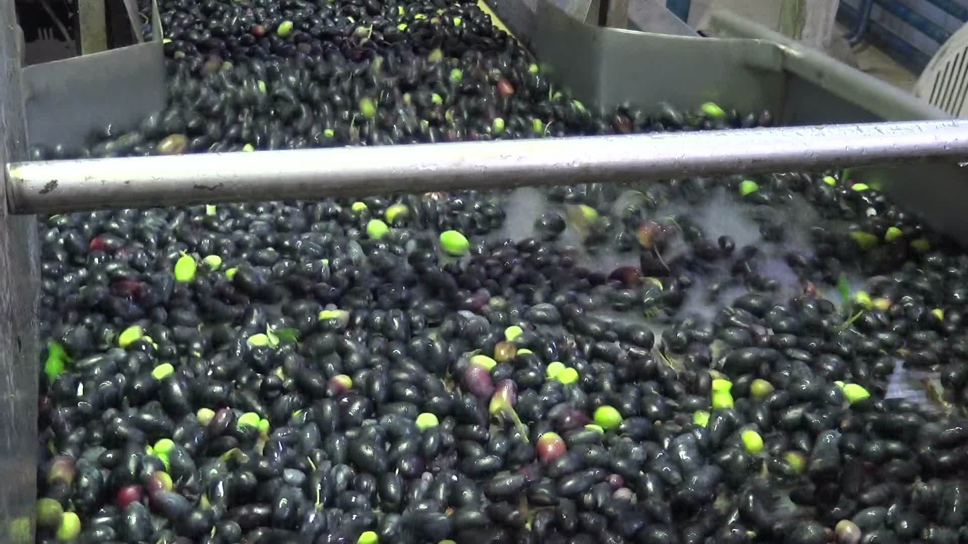 清洗橄榄8视频的预览图