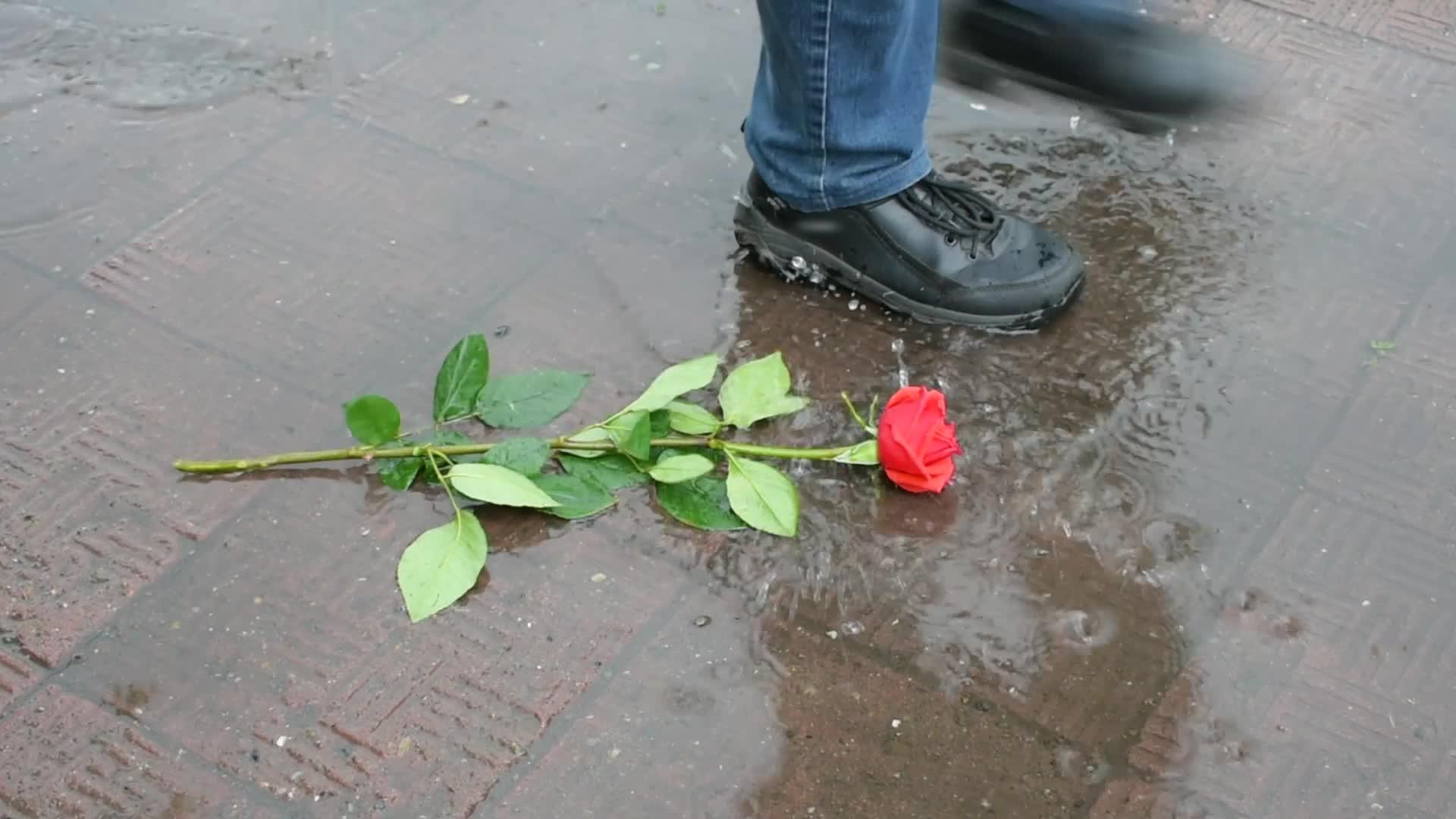 一个人在水坑里行走他没能见到他爱的人把玫瑰扔在路上视频的预览图