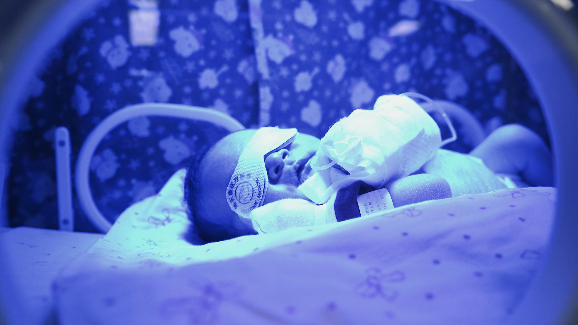 8K实拍蓝光箱里的新生儿视频的预览图