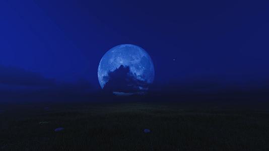 草地大月亮视频的预览图