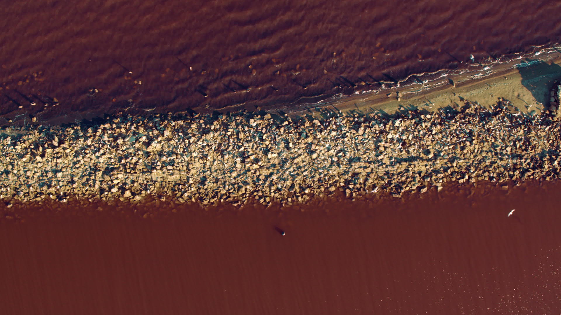 海滩和五颜六色的海浪飞溅视频的预览图