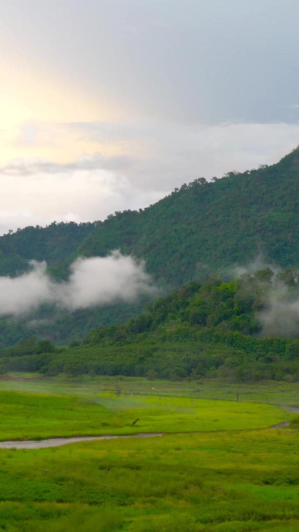 自然景观山野林间云雾缭绕延时延时视频的预览图