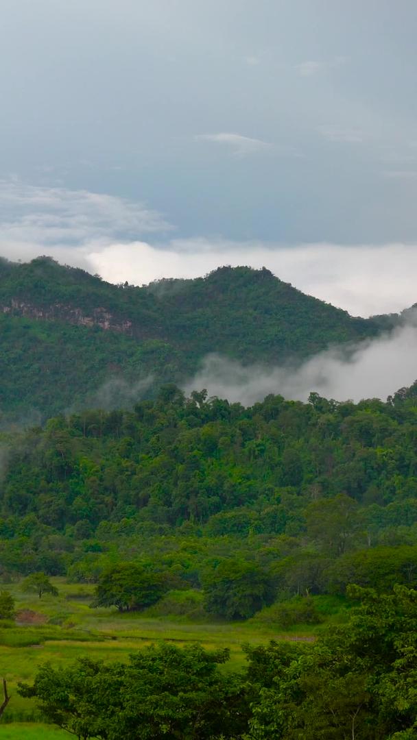 自然景观山野林间云雾缭绕延时延时视频的预览图