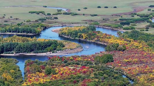 秋季彩林湿地4k航拍风景视频的预览图