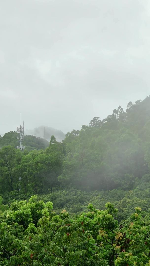 雾中的信号塔视频的预览图