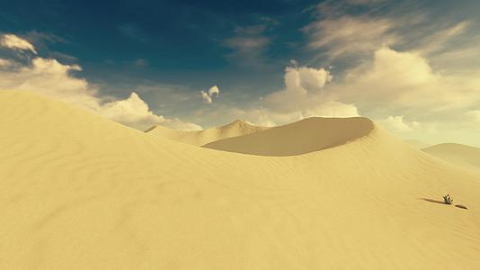 沙漠黄沙视频的预览图