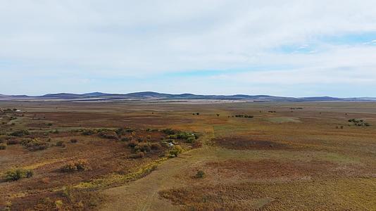 内蒙古秋天草原风景4k航拍视频的预览图