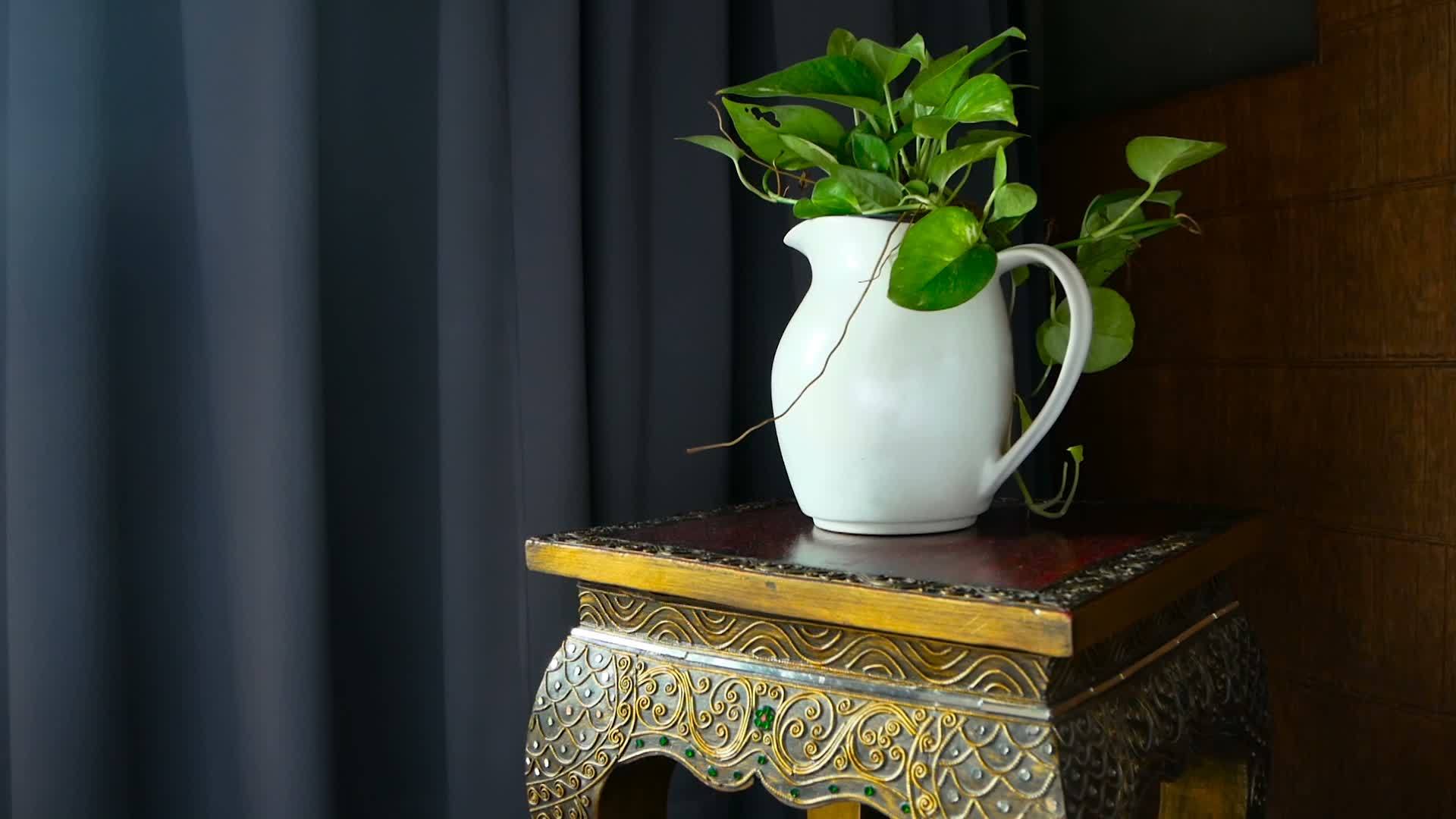 仍然生活在白色的罐子和绿色的叶子里坐在一个有泰国装饰的凳子上视频的预览图