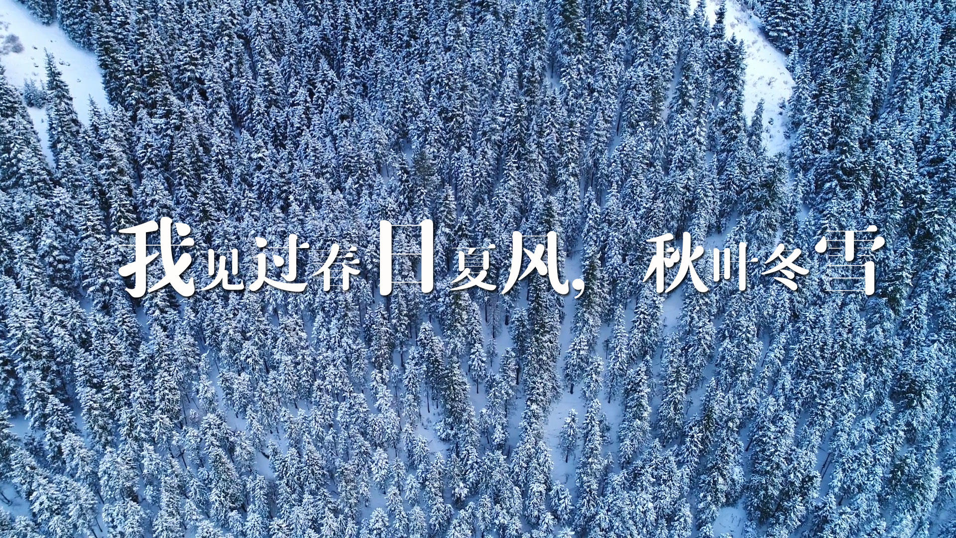 简洁冬季唯美语录宣传展示视频的预览图
