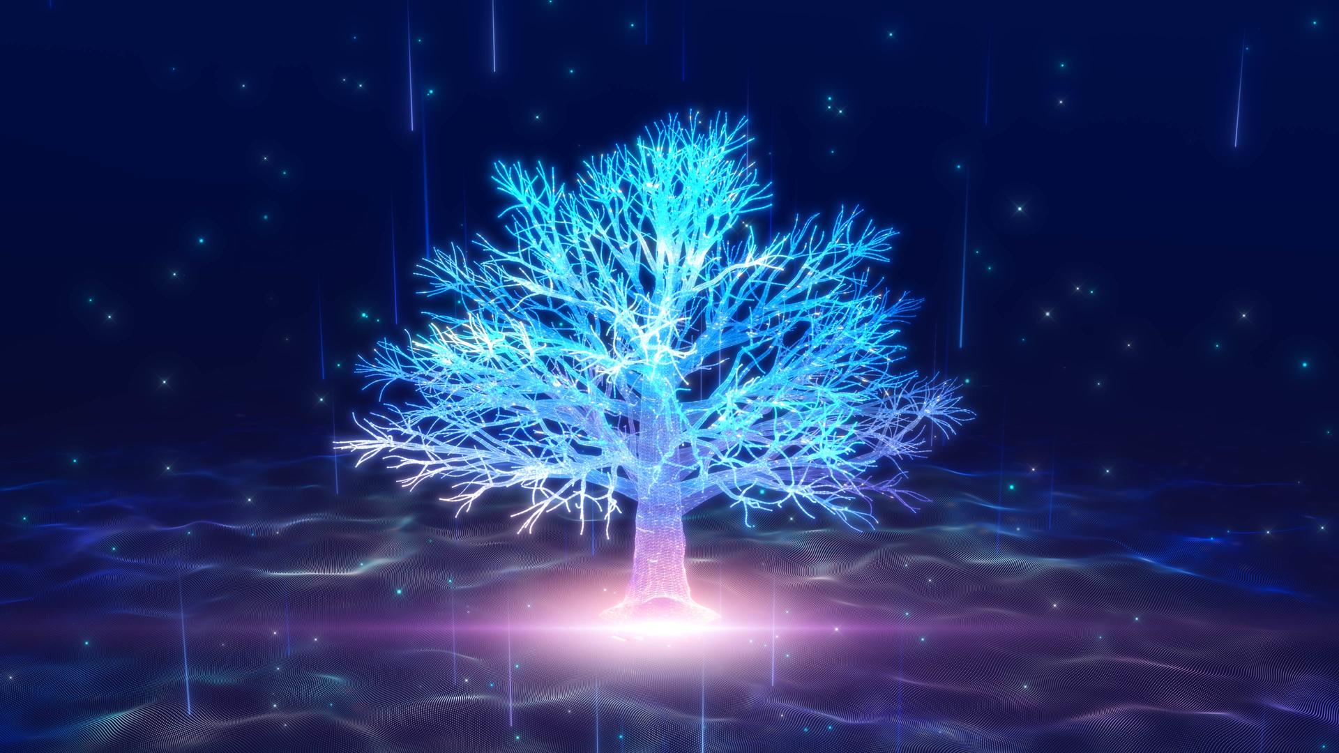 美丽酷炫的粒子树星空舞台背景视频的预览图