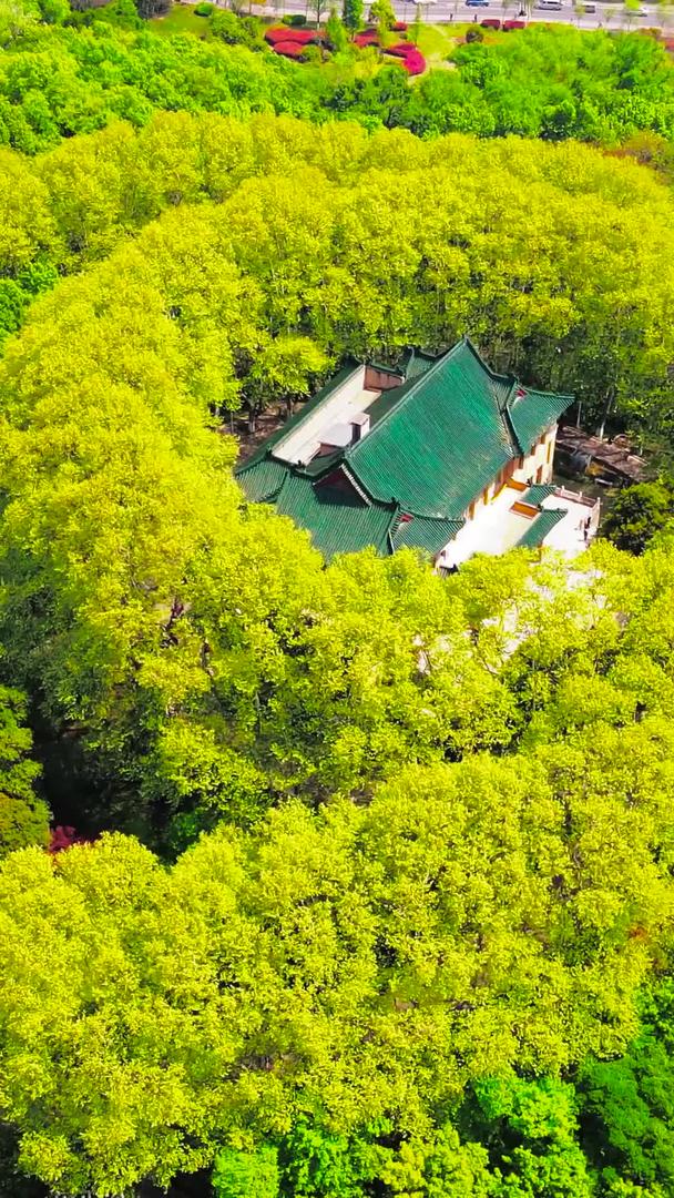 南京中山陵景区航拍美龄宫视频的预览图