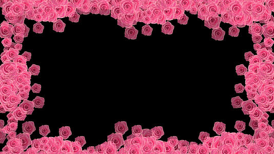 粉红玫瑰边框视频的预览图