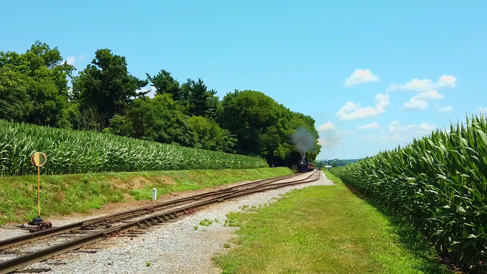 美丽的阳光明媚的一天有玉米田、蓝天和云古老的蒸汽机车很少视频的预览图