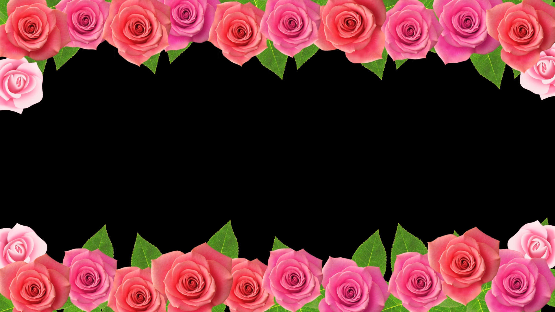 唯美粉红玫瑰视频的预览图