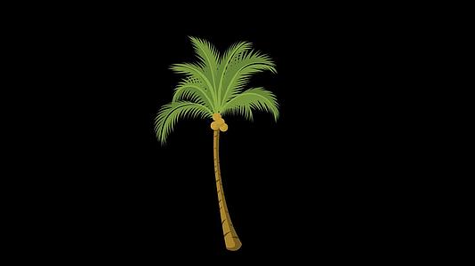 mg动态椰子树生长视频素材视频的预览图