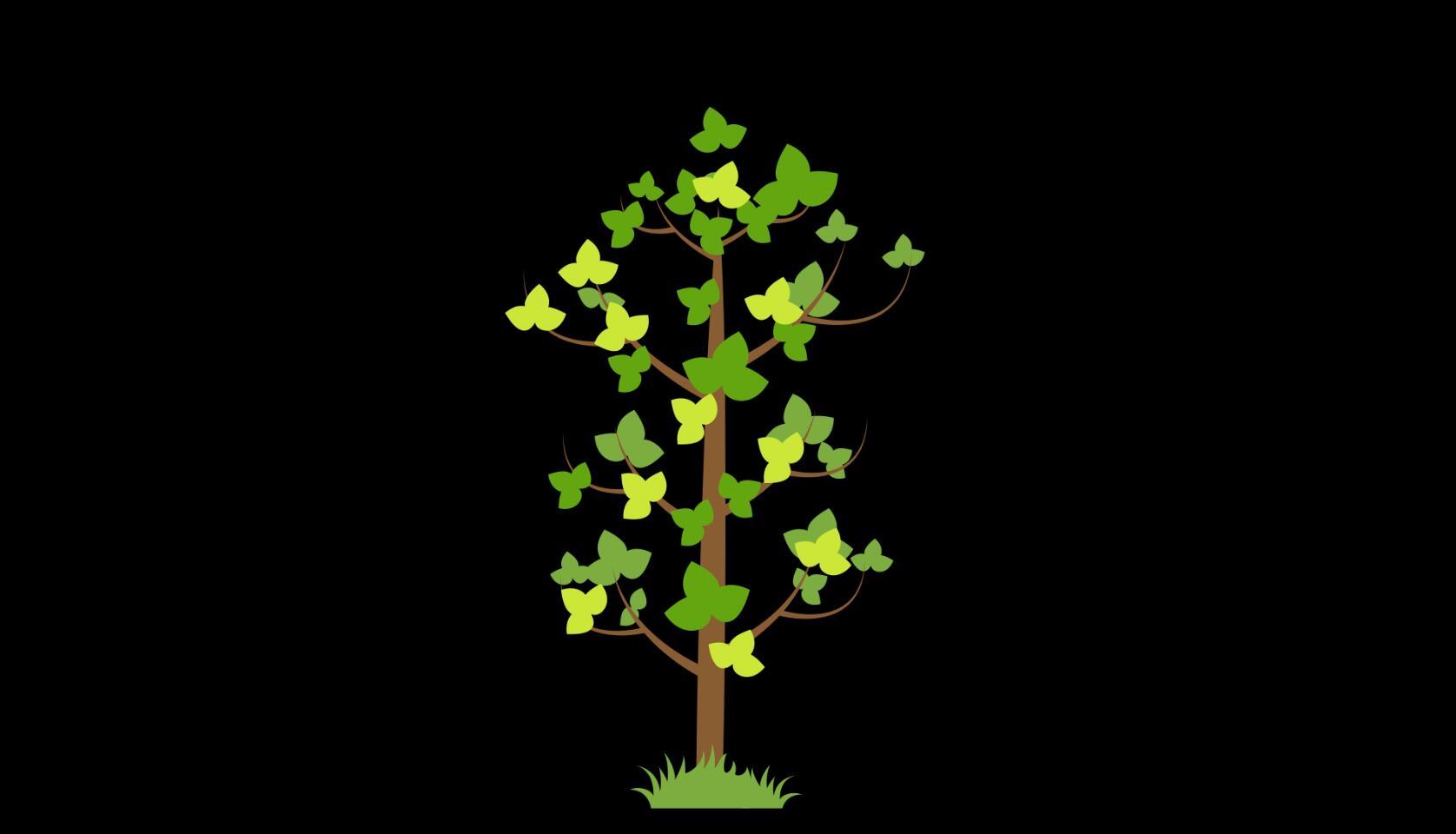 mg动态叶子树生长视频素材视频的预览图