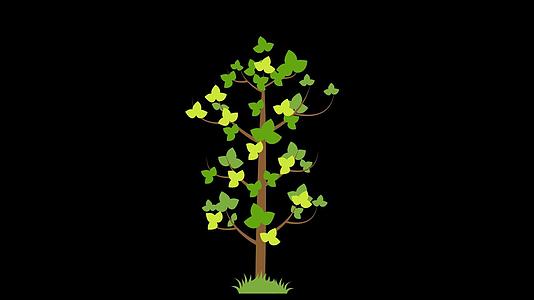 mg动态叶子树生长视频素材视频的预览图