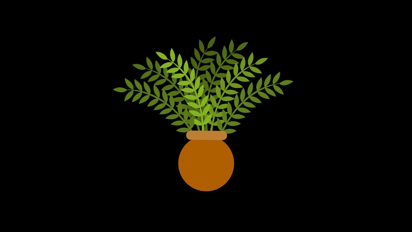 mg动态圆底盆栽绿植生长视频素材视频的预览图