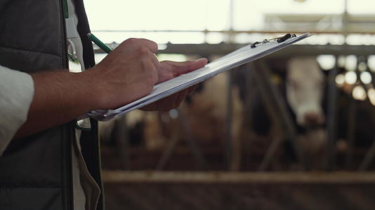 在牛棚里畜牧工人做笔记视频的预览图