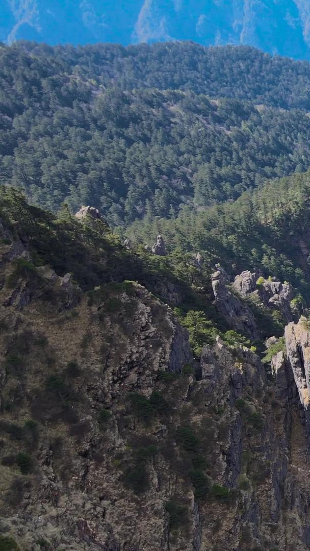 5A景区神农架神农顶神农谷航拍集合集合视频的预览图