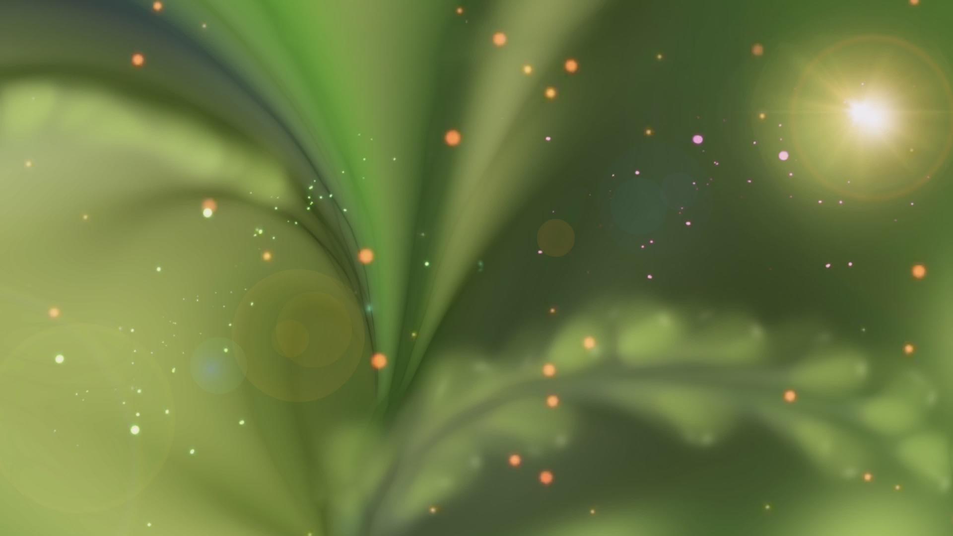 抽象的绿色背景包括石头植物和神奇的亮片视频的预览图