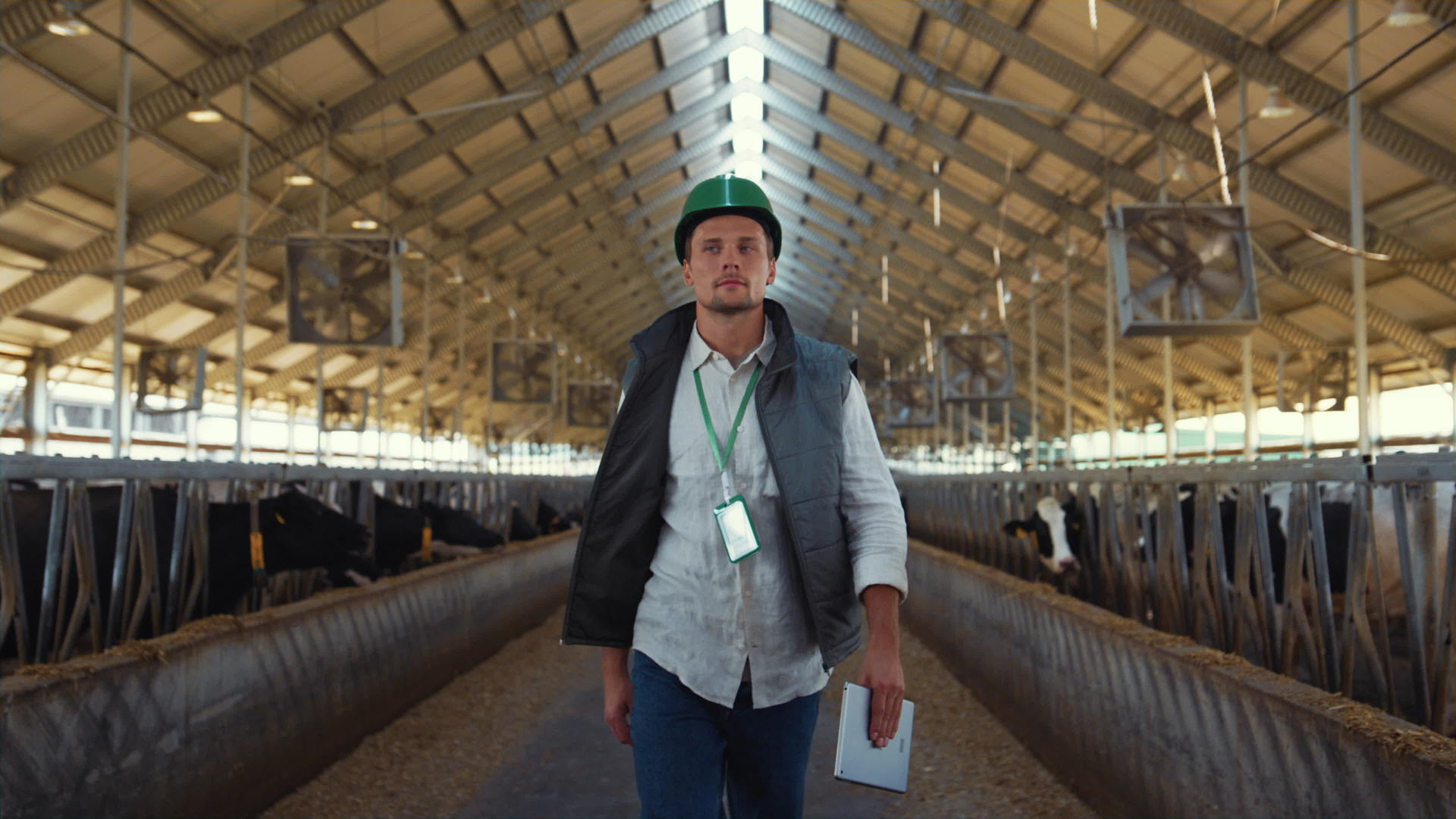 农业主步行棚控制畜牧设施的日常工作视频的预览图